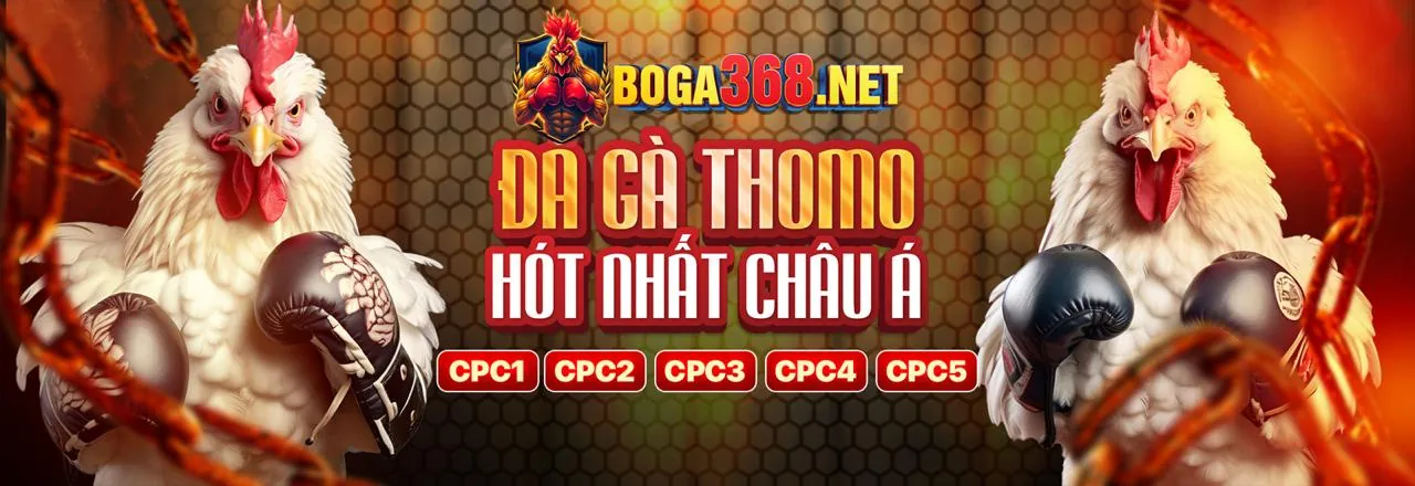 Hình ảnh chính ho88 casino thể hiện sự uy tín và đẳng cấp