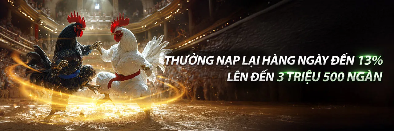 Đá gà trực tuyến HO88 Casino