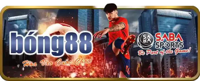 Đá gà ho88 casino